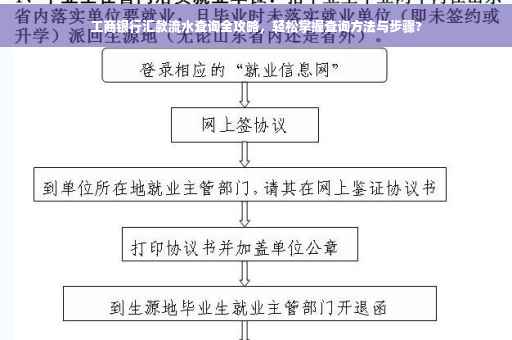工商银行汇款流水查询全攻略，轻松掌握查询方法与步骤?