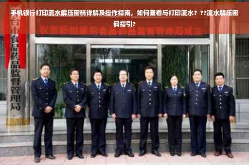 手机银行打印流水解压密码详解及操作指南,如何查看与打印流水???流水解压密码指引? 手机银行打印流水解压密码详解及操作指南,如何查看与打印流水???流水解压密码指引?