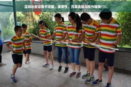 深圳出资证明书详解，重要性、开具流程与操作指南?⚡️