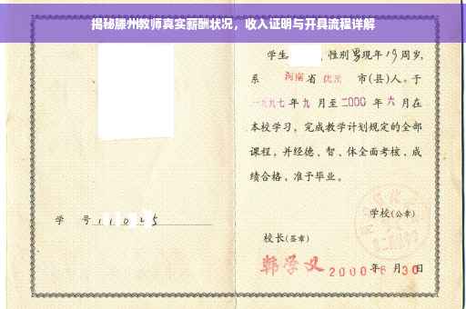 揭秘滕州教师真实薪酬状况，收入证明与开具流程详解