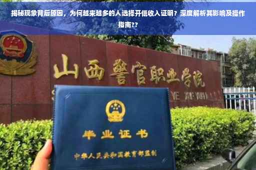 揭秘现象背后原因，为何越来越多的人选择开低收入证明？深度解析其影响及操作指南??