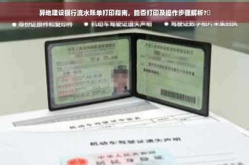 异地建设银行流水账单打印指南，能否打印及操作步骤解析?✨