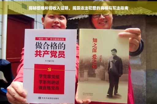 揭秘嫖娼所得收入证明，揭露违法犯罪的真相与写法指南