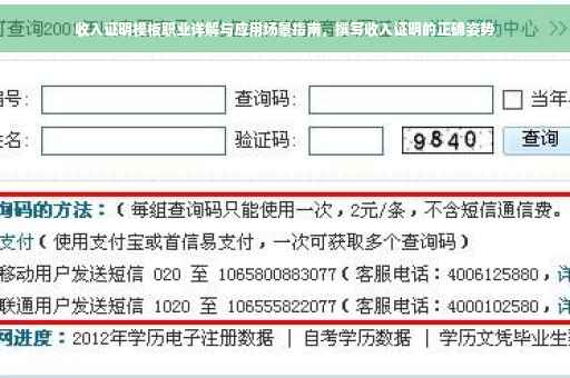 收入证明模板职业详解与应用场景指南，撰写收入证明的正确姿势
