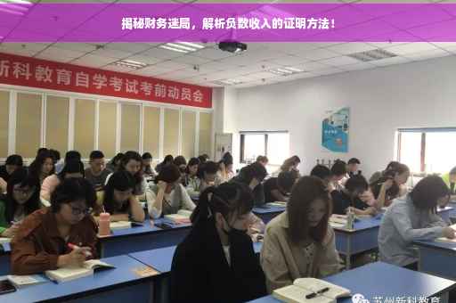 揭秘财务迷局，解析负数收入的证明方法！