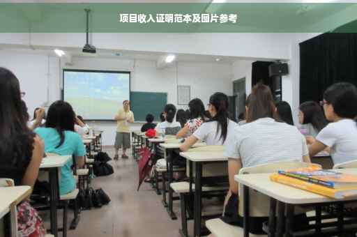 项目收入证明范本及图片参考