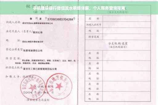 手机建设银行微信流水明细详解，个人账务查询指南