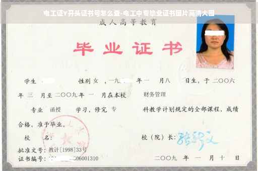 电工证Y开头证书号怎么查-电工中专毕业证书图片高清大图
