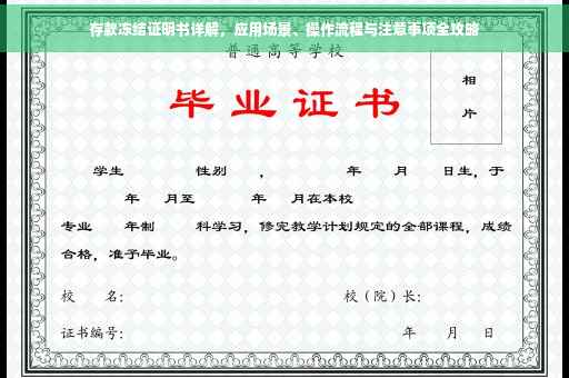 存款冻结证明书详解，应用场景、操作流程与注意事项全攻略