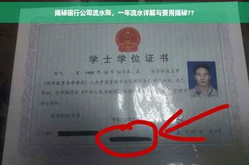 揭秘银行公司流水账，一年流水详解与费用揭秘??