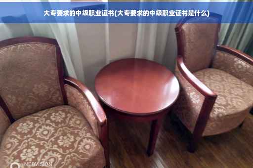 大专要求的中级职业证书(大专要求的中级职业证书是什么)