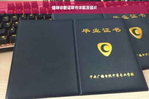 猫咪诊断证明书详解及图片