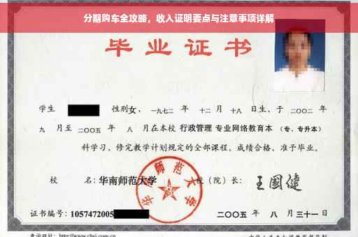 分期购车全攻略，收入证明要点与注意事项详解