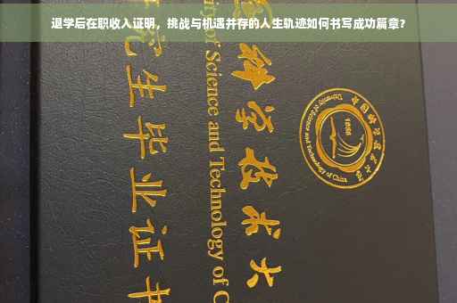 退学后在职收入证明，挑战与机遇并存的人生轨迹如何书写成功篇章？