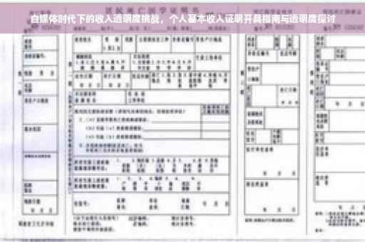 自媒体时代下的收入透明度挑战，个人基本收入证明开具指南与透明度探讨