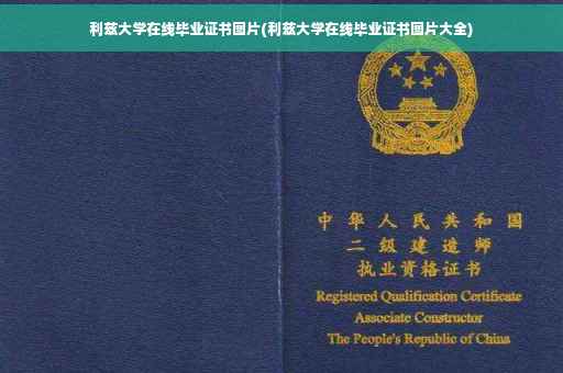 利兹大学在线毕业证书图片(利兹大学在线毕业证书图片大全)