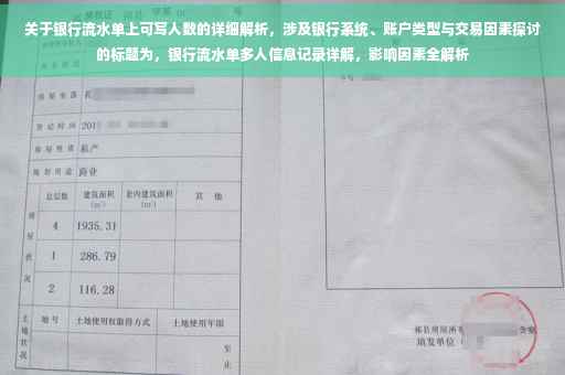 关于银行流水单上可写人数的详细解析，涉及银行系统、账户类型与交易因素探讨的标题为，银行流水单多人信息记录详解，影响因素全解析