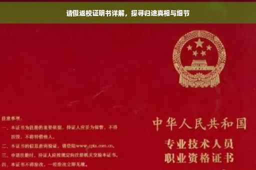 请假返校证明书详解，探寻归途真相与细节