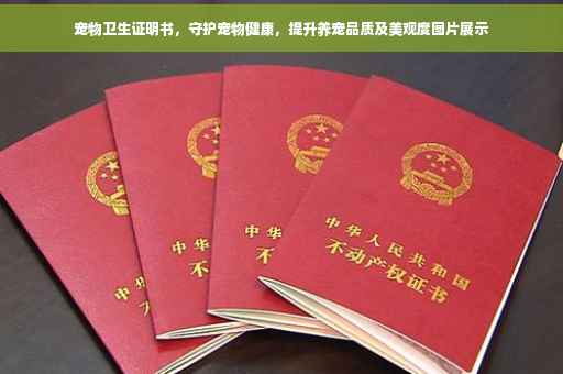 宠物卫生证明书，守护宠物健康，提升养宠品质及美观度图片展示