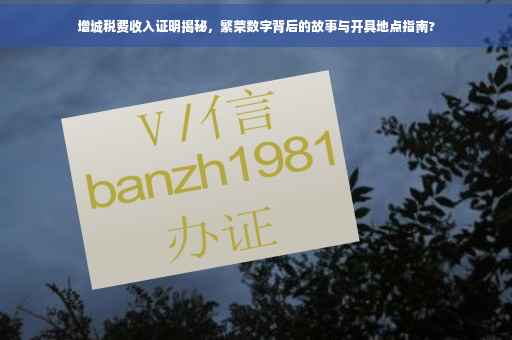增城税费收入证明揭秘，繁荣数字背后的故事与开具地点指南?