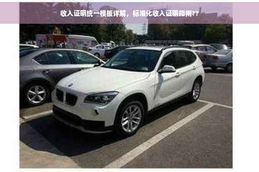 收入证明统一模板详解，标准化收入证明指南??
