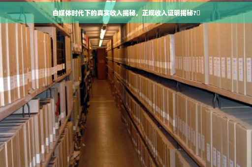 自媒体时代下的真实收入揭秘，正规收入证明揭秘?✨