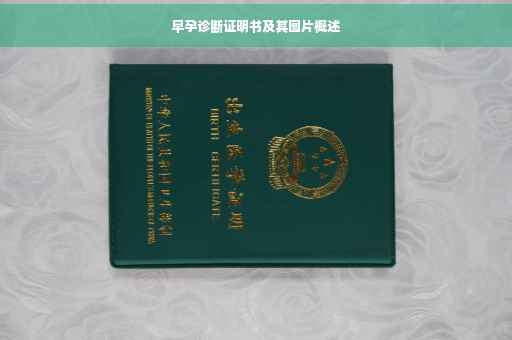 早孕诊断证明书及其图片概述