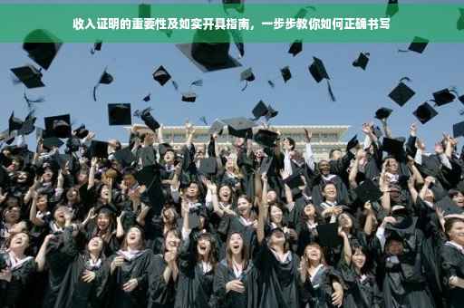 收入证明的重要性及如实开具指南，一步步教你如何正确书写