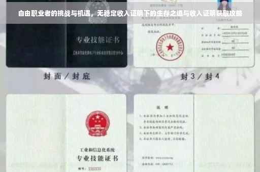 自由职业者的挑战与机遇，无稳定收入证明下的生存之道与收入证明获取攻略