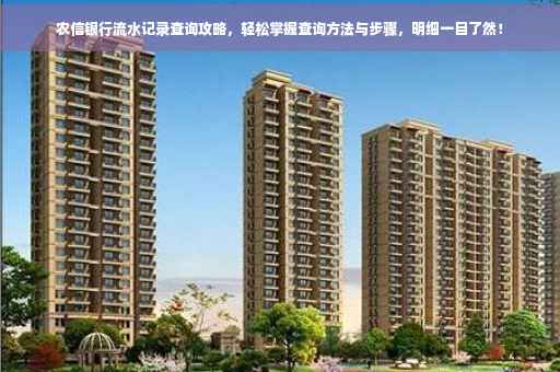 农信银行流水记录查询攻略，轻松掌握查询方法与步骤，明细一目了然！