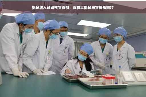 揭秘收入证明核实真相，真相大揭秘与实操指南??