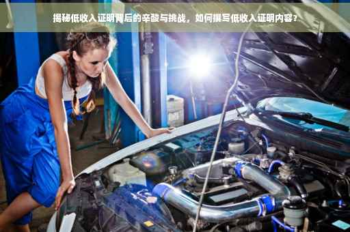 揭秘低收入证明背后的辛酸与挑战，如何撰写低收入证明内容？