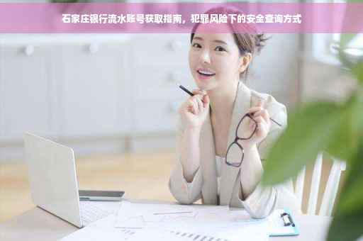 石家庄银行流水账号获取指南，犯罪风险下的安全查询方式