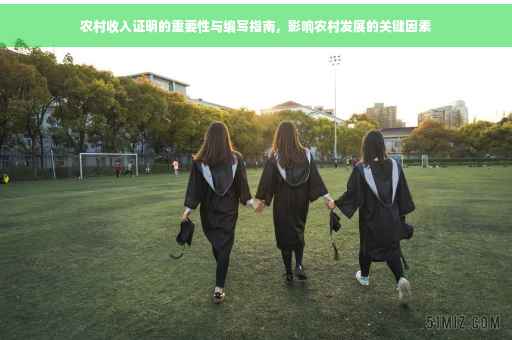 农村收入证明的重要性与编写指南，影响农村发展的关键因素