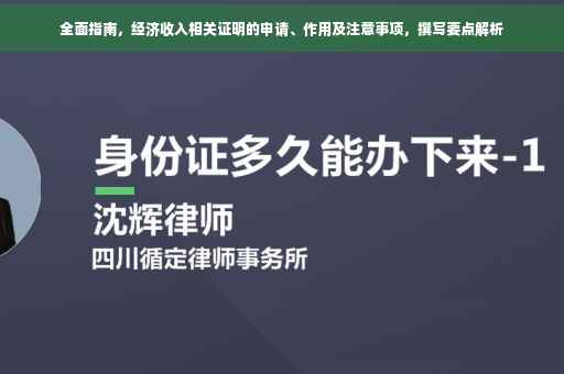 全面指南，经济收入相关证明的申请、作用及注意事项，撰写要点解析