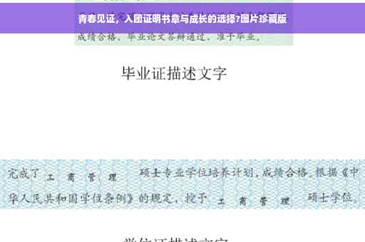 青春见证，入团证明书章与成长的选择?图片珍藏版