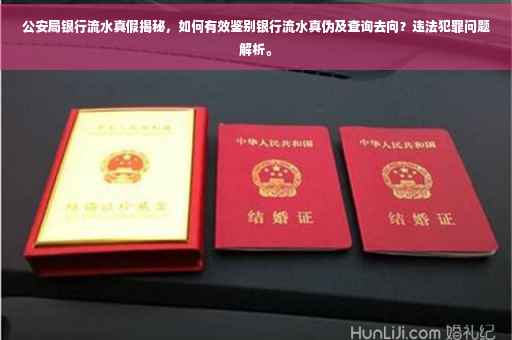 公安局银行流水真假揭秘，如何有效鉴别银行流水真伪及查询去向？违法犯罪问题解析。