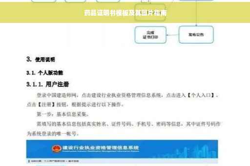 药品证明书模板及其图片指南