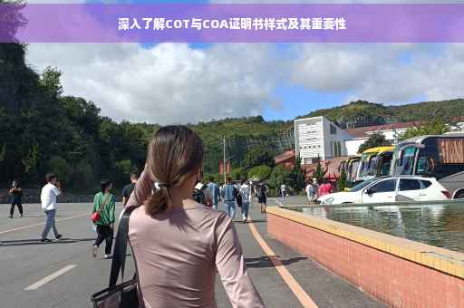 深入了解COT与COA证明书样式及其重要性