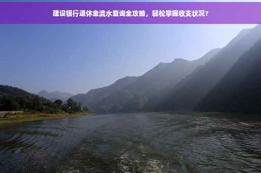 建设银行退休金流水查询全攻略，轻松掌握收支状况?