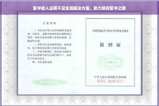 留学收入证明不足全面解决方案，助力顺利留学之路