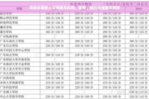 项目运营收入证明撰写指南，策略、执行与成果全解析