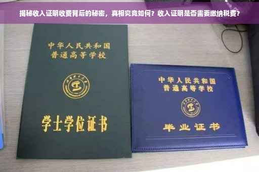 揭秘收入证明收费背后的秘密，真相究竟如何？收入证明是否需要缴纳税费？