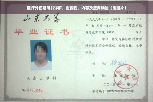 医疗外伤证明书详解，重要性、内容及应用场景（附图片）