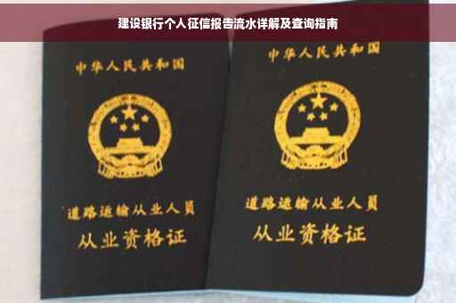 建设银行个人征信报告流水详解及查询指南