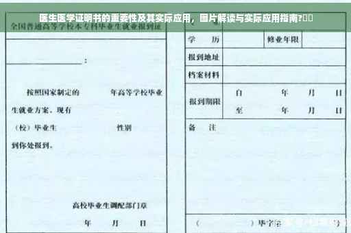 医生医学证明书的重要性及其实际应用，图片解读与实际应用指南?⚡️