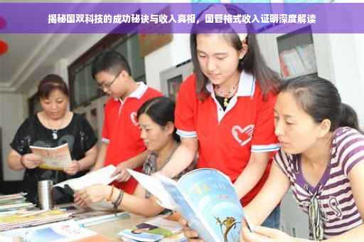 揭秘国双科技的成功秘诀与收入真相，国管格式收入证明深度解读