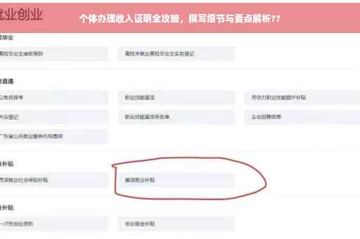 个体办理收入证明全攻略，撰写细节与要点解析??