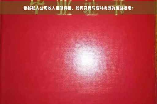 揭秘私人公司收入证明真相，如何开具与应对挑战的策略指南?