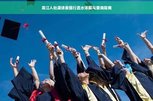 龙江人社退休金银行流水详解与查询指南